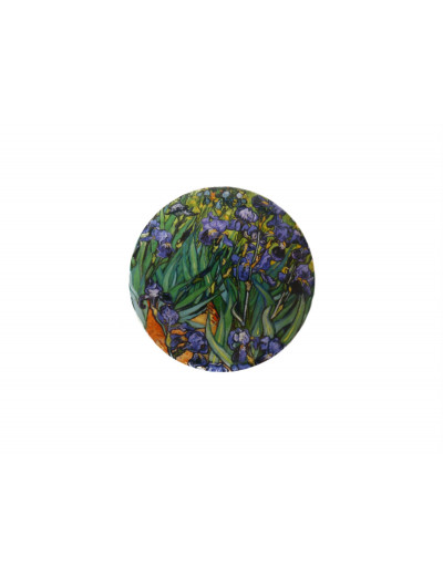 Taschenspiegel Vincent van Gogh: Irises