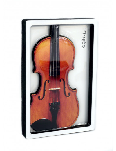 Magnet Geige 60*90 mm